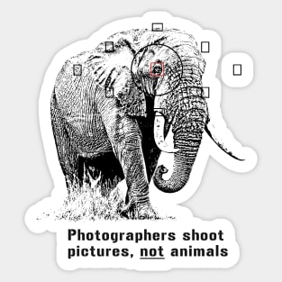 Anti-hunting Elephant Design for Photographers Sticker